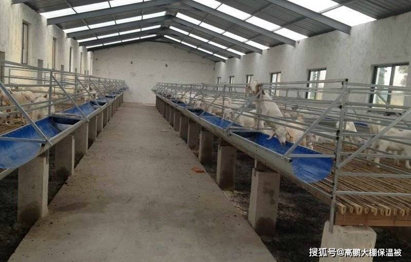 羊舍建设
