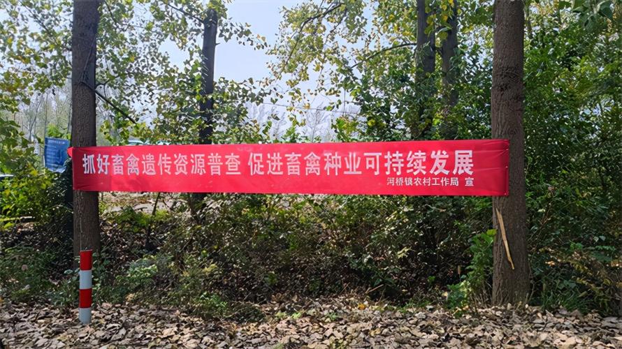 羊好多畜牧