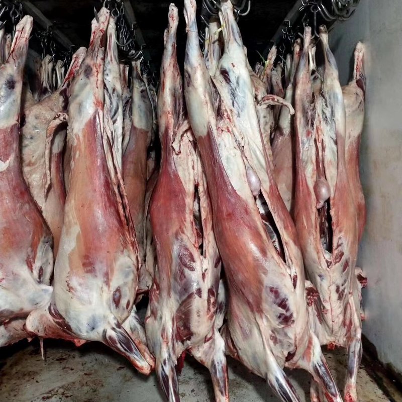 羊肉批发